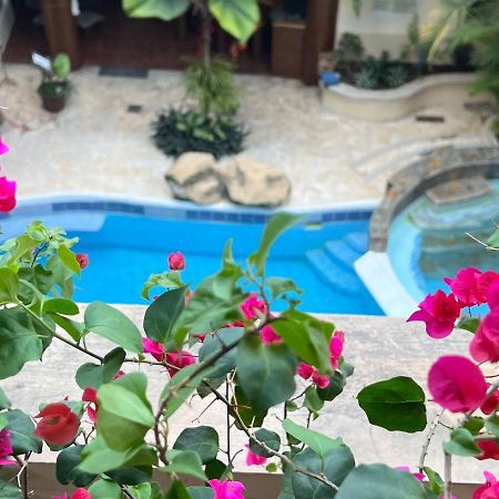 Hotel Quinta Maya فلوريس المظهر الخارجي الصورة